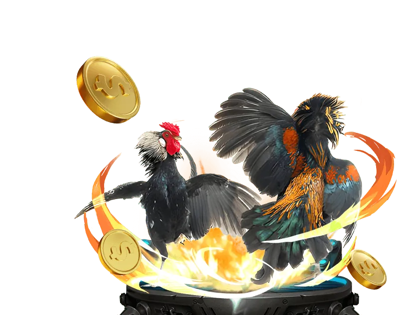 Các chương trình khuyến mãi hấp dẫn